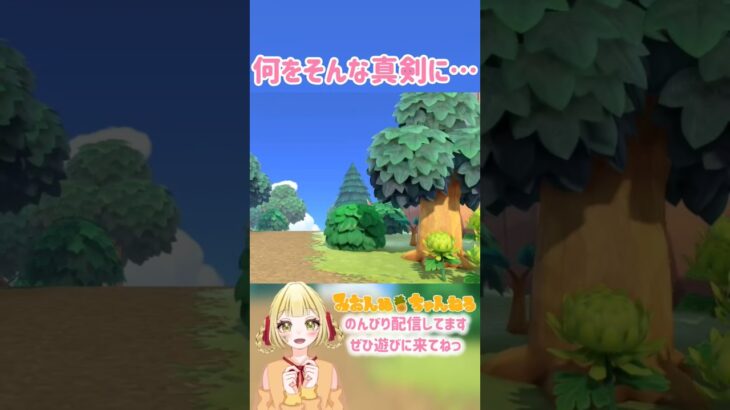真剣に見つめるよしのちゃん #みおんぬ #short #あつ森 #あつまれどうぶつの森