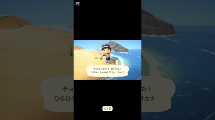 #short #あつ森　#熱盛　海の日だから魚釣りやります