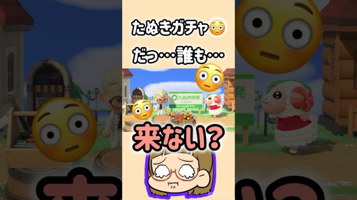 【あつ森】たぬきガチャ!?誰も来ない!?😨😨#あつ森 #あつまれどうぶつの森 #あつもり実況 #ともちんのゲーム部屋 #short #shorts