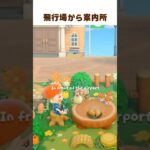 飛行場から案内所まで６マス 🐾 #shorts #あつ森