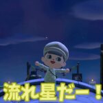 【あつ森】フーコがいるってことは・・・⭐？！ #shorts #あつ森 #あつまれどうぶつの森 #ゲーム実況