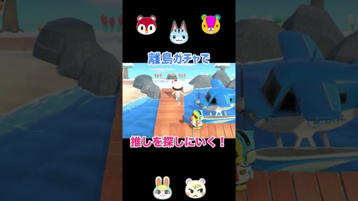 【あつ森】離島ガチャで推しを探しにいくよ❤️‍🔥#あつ森 #shorts #ゲーム実況