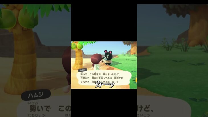 【#shorts 】離島ガチャ #あつ森 #ゲーム女子 #ゲーム実況