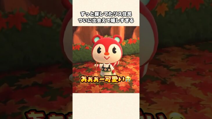 【あつ森】神回！ついに出会えた！可愛すぎるリス住民グミちゃん【あつまれどうぶつの森】#shorts #あつ森