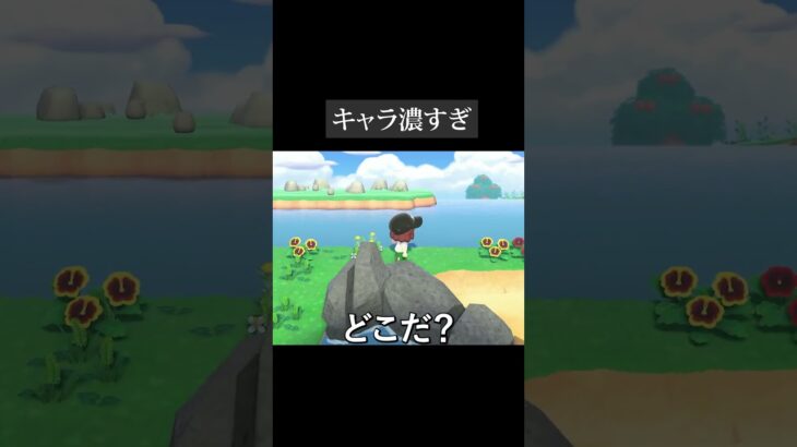 【#shorts 】果てしない離島ガチャ #あつ森 #ゲーム女子#切り抜き
