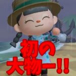 【あつ森】ついに・・初の大物キタアアアア！！！ #shorts #あつ森 #あつまれどうぶつの森 #ゲーム実況