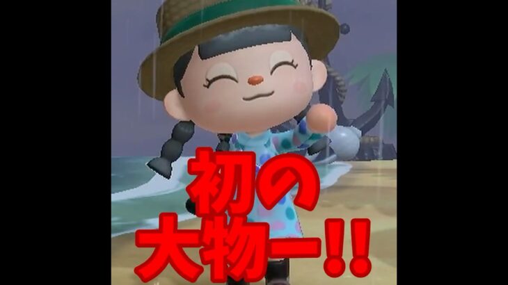 【あつ森】ついに・・初の大物キタアアアア！！！ #shorts #あつ森 #あつまれどうぶつの森 #ゲーム実況
