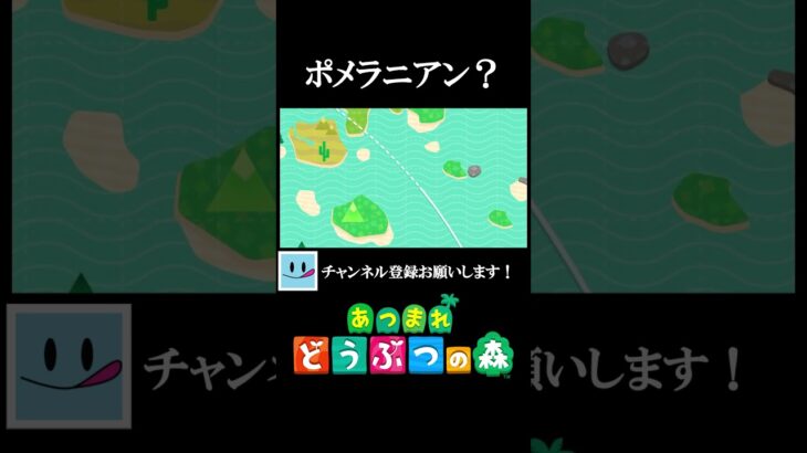アテンションプリーズのやつな【あつ森】#shorts  #あつまれどうぶつの森 #あつ森 #あつ森初心者