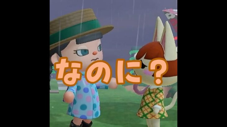 【喧嘩】ネコ同士の仲にヒビが・・・！？！ #shorts #あつ森 #喧嘩 #あつまれどうぶつの森 #ゲーム実況