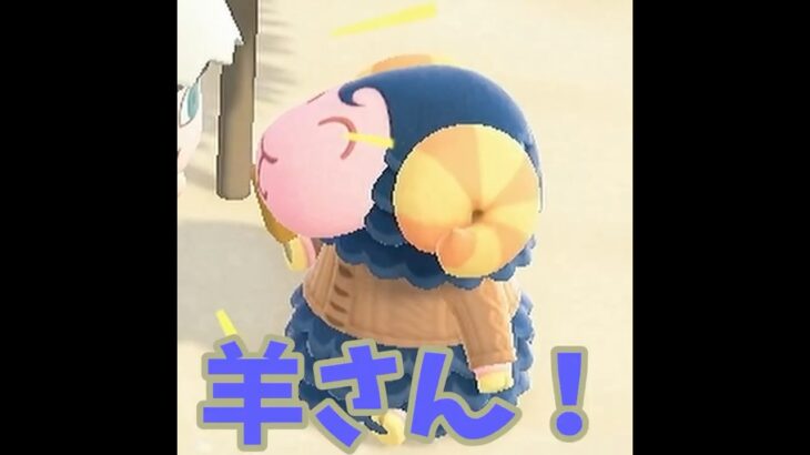【あつ森】暖かい部屋で暮らしたいみたいって！！#shorts  #あつ森 #あつまれどうぶつの森 #ハピパラ#ハッピーホームパラダイス #ゲーム実況
