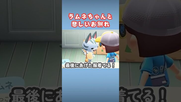 ラムネのお引越しで一人取り残される【あつ森】#shorts #あつ森 #ラムネ