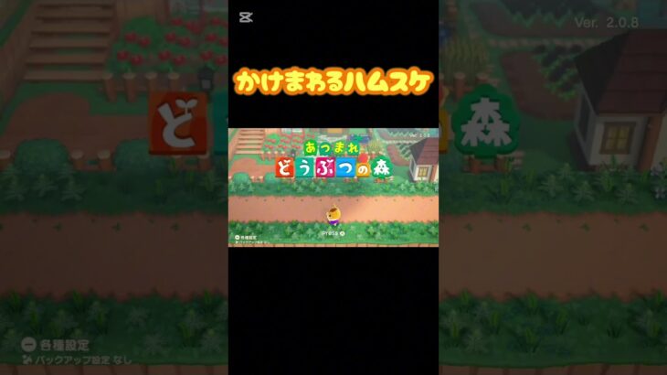 【あつ森】駆け回るハムスケ【あつまれどうぶつの森】 #shorts
