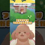 【あつ森クリップ】誕生日を祝われたい！#shorts