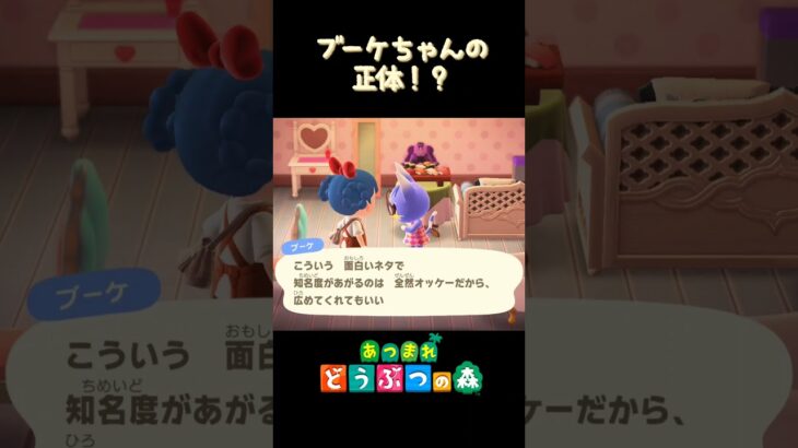 【あつ森】ブーケちゃんの正体！？　#shorts