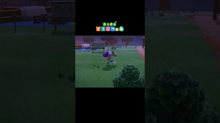 【あつ森】虫取り初心者 #shorts