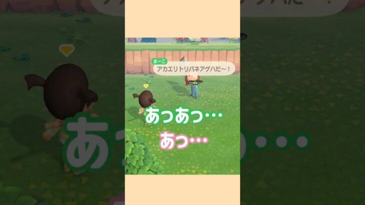長いカタカナは難しい【あつ森】#あつ森 #shorts