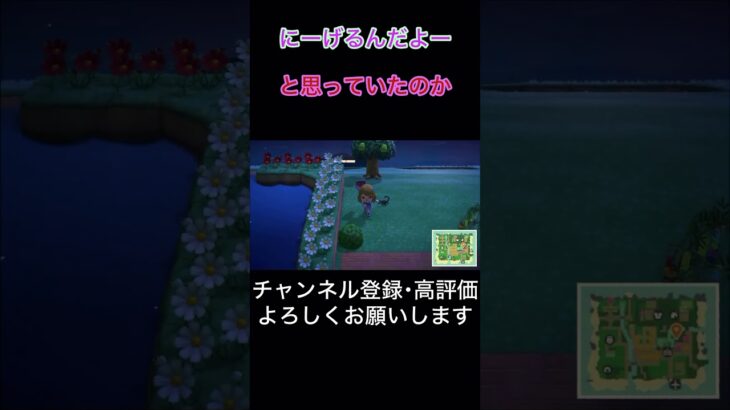 【#あつ森 】くるっと・まわって・いっかいてんサソリ捕獲術#あつまれどうぶつの森 #shorts