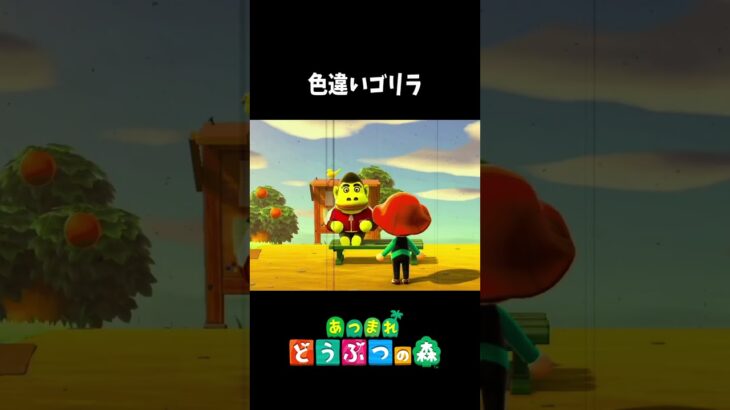 色違いの野生のゴリラ発見！？【あつ森】#shorts