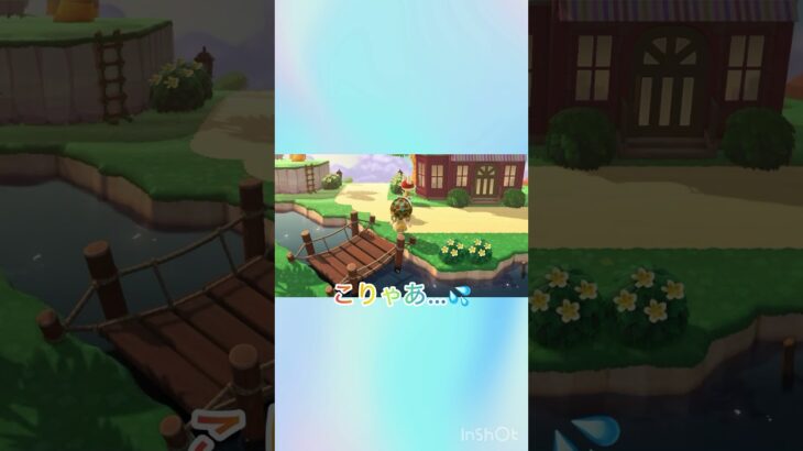 やっぱりアヤシイ💦ジュン😂 #あつ森 #あつまれどうぶつの森 #shorts #animalcrossing #gaming #ジュン #ハッピーホームパラダイス #ゲーム