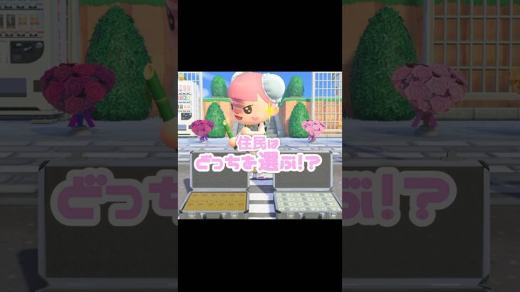 【究極の選択】さぁ、どっちのケースがいいかな…？！？！ #あつ森 #どうぶつの森 #あつまれどうぶつの森 #どう森 #どうぶつの森 #shorts #short