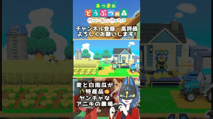 ヤンチャなお兄さんの直売所🌾🥬 #あつ森 #あつ森レイアウト #ハピパラ #あつまれどうぶつの森 #ゲーム実況 #shorts #short #animalcrossin