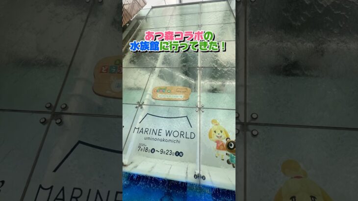【期間限定】あつ森とコラボの水族館が楽しすぎた🌴　#shorts  #あつ森 #あつまれどうぶつの森 #水族館 #夫婦の日常 #vlog