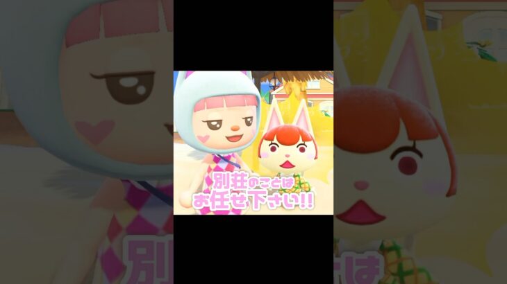 さぁ、みかっちトークショーのお時間です…？！？！#あつ森 #どうぶつの森 #あつまれどうぶつの森 #どう森 #shortvideo #shorts #short #みかっち