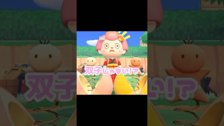 これは鬼もビックリだよね…？！？！#あつ森 #どうぶつの森 #あつまれどうぶつの森 #どう森 #shortvideo #shorts #short #モモのビックリばこ