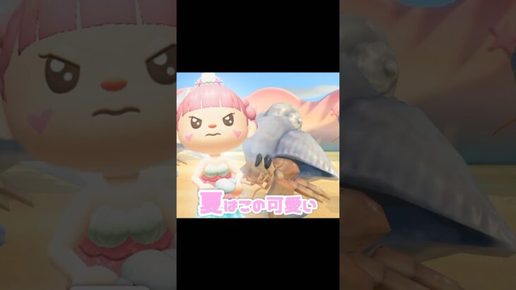 ヤドカリと一緒に過ごしましょう…？！？！#あつ森 #どうぶつの森 #あつまれどうぶつの森 #どうぶつの森 #どう森 #shortvideo #shorts #short #ヤドカリの模型