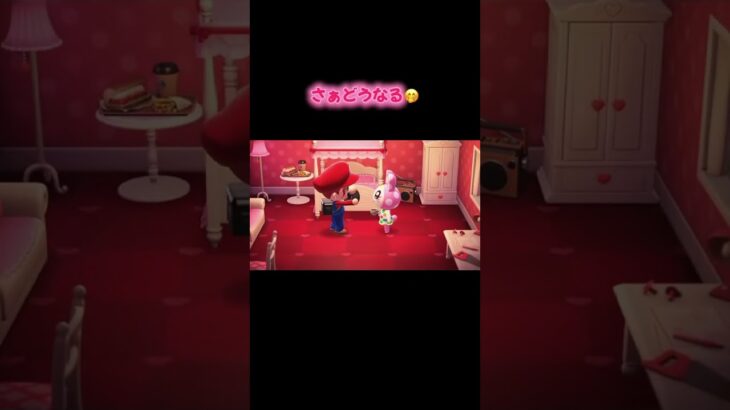 #どうぶつの森 #あつ森 #あつまれどうぶつの森 #switch #ゲーム #ゲーム実況