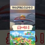 【#あつ森】長〜い！【#switch 】