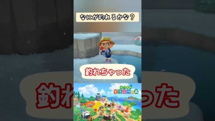 【#あつ森】釣れちゃった【#switch 】