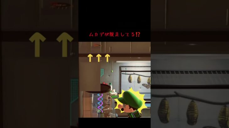 #あつまれどうぶつの森 #あつ森 #どうぶつの森 #小ネタ #ゲーム #ゲーム実況 #switch