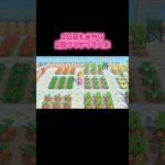 #あつ森 #あつまれどうぶつの森 #どうぶつの森 #検証シリーズ#ゲーム #ゲーム実況 #switch