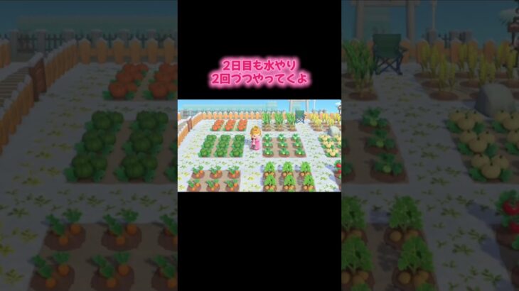 #あつ森 #あつまれどうぶつの森 #どうぶつの森 #検証シリーズ#ゲーム #ゲーム実況 #switch