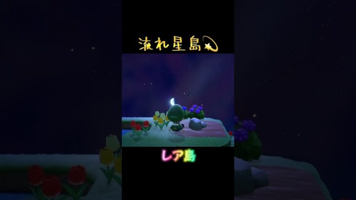 #あつ森 #あつまれどうぶつの森 #どうぶつの森 #ゲーム #ゲーム実況#switch
