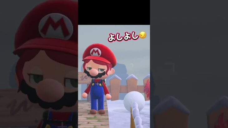 #あつ森 #あつまれどうぶつの森 #どうぶつの森#ゲーム #ゲーム実況 #switch