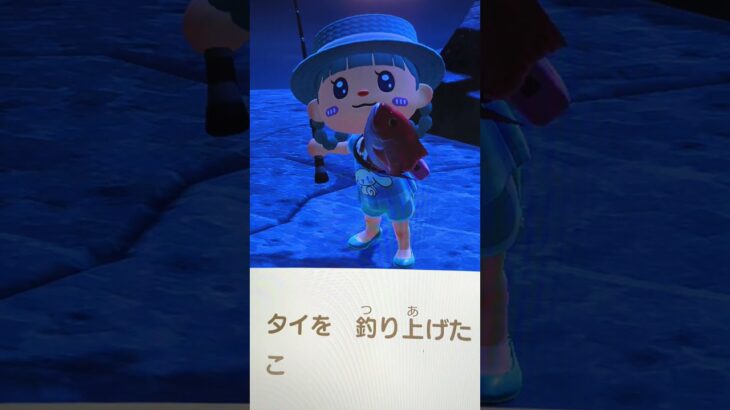 #あつ森#あつまれどうぶつの森#どうぶつの森#スイッチ#switch#ニンテンドー#任天堂#nintendo#動物#釣り竿#つり#釣り#竿#さお