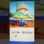 #レア#シイラ#あつ森#あつまれどうぶつの森#どうぶつの森#スイッチ#switch#ニンテンドー#任天堂#nintendo#動物#釣り#釣り竿#魚釣り#海#海の生物#海の生き物