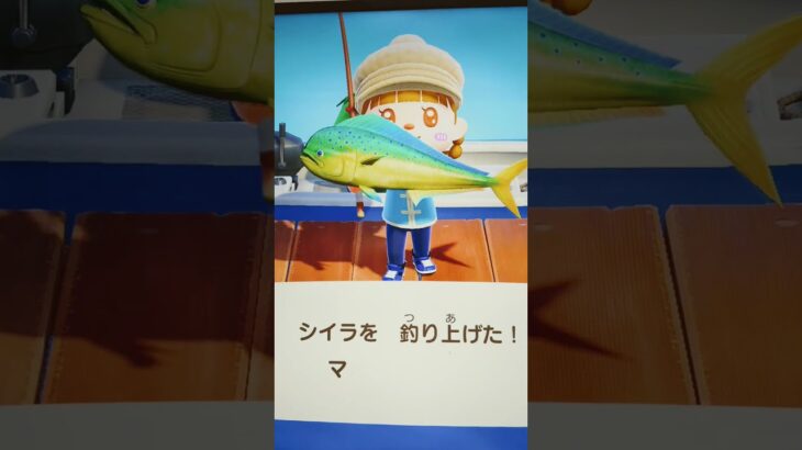 #レア#シイラ#あつ森#あつまれどうぶつの森#どうぶつの森#スイッチ#switch#ニンテンドー#任天堂#nintendo#動物#釣り#釣り竿#魚釣り#海#海の生物#海の生き物