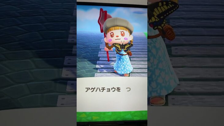 #あつ森#あつまれどうぶつの森#どうぶつの森#スイッチ#switch#ニンテンドー#任天堂#nintendo#動物#釣り#釣り竿#魚釣り#海#海の生物#海の生き物