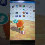 #あつ森#あつまれどうぶつの森#どうぶつの森#スイッチ#switch#ニンテンドー#任天堂#nintendo#動物