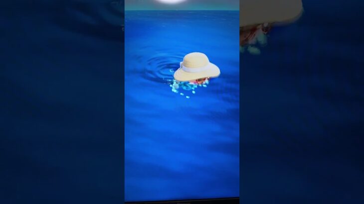 #あつ森#あつまれどうぶつの森#どうぶつの森#スイッチ#switch#ニンテンドー#任天堂#nintendo#動物#釣り#釣り竿#魚釣り#海#海の生物#海の生き物