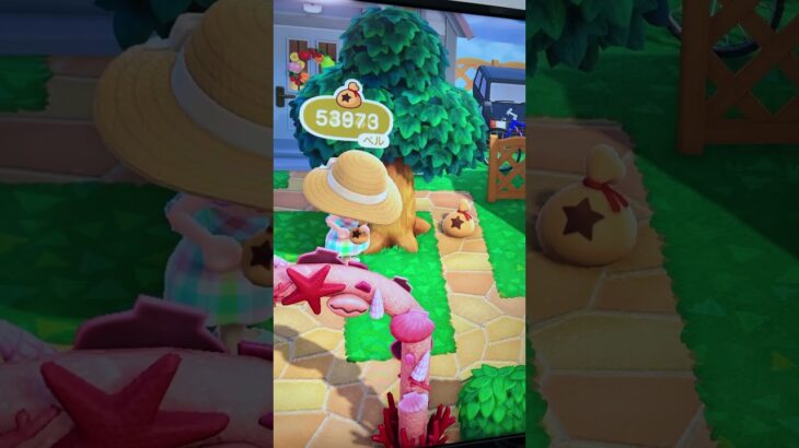 #あつ森#あつまれどうぶつの森#どうぶつの森#スイッチ#switch#ニンテンドー#任天堂#nintendo#動物