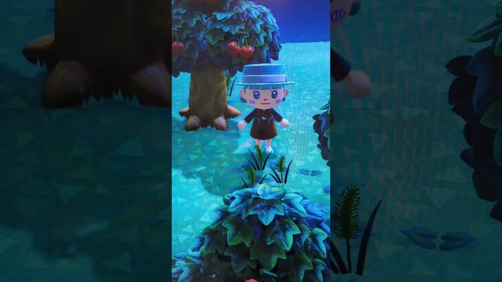 #あつ森#あつまれどうぶつの森#どうぶつの森#スイッチ#switch#ニンテンドー#任天堂#nintendo#動物