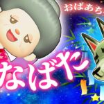 【あつ森】ひこぼしをさがせ！おばあちゃんの七夕🎋【あつまれどうぶつの森】