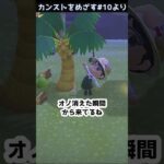 【あつ森】　奇襲成功！！！　　　　　　　　　　　　 #あつ森 #あつまれどうぶつの森