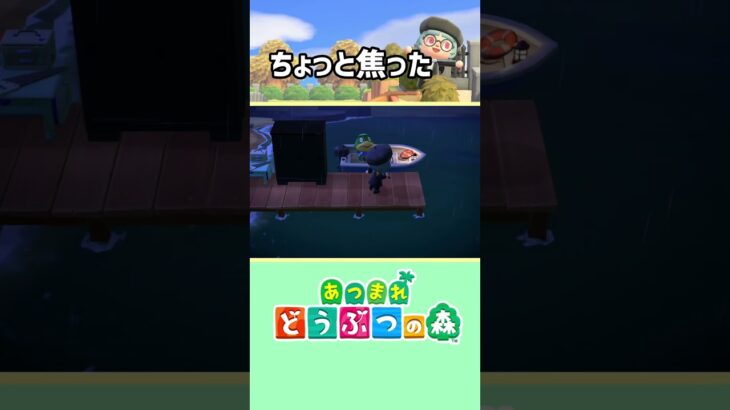 【あつまれどうぶつの森】ちょっとしたラグ #あつ森 #あつまれどうぶつの森