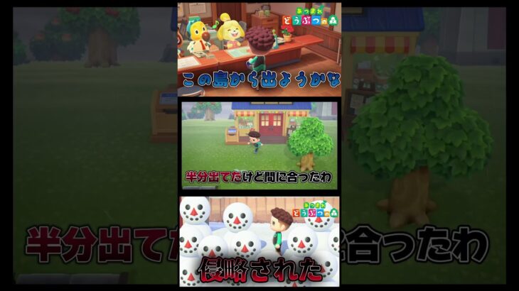 毎回なんでこんなオープニング？ #あつまれどうぶつの森 #あつ森 #どうぶつの森 #ゲーム実況 #ゲーム