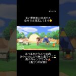 【あつ森】森の中のキャンプサイト⛺️ 果樹園の中にあるキャンプサイト(島クリの記録) #あつ森 #あつまれどうぶつの森 #あつ森好きと繋がりたい